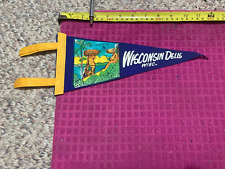 VINTAGE Wisconsin Dells SOUVENIR Pennant BANNER Flag STAND ROCK Fast Shipper picture