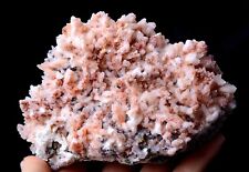 909g China /Newly DISCOVERED RARE RED CALCITE & PYRITE CRYSTAL MINERAL SPECIMEN picture