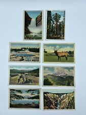 Antique Yellowstone Postcards Lot Of 8 Postcards  picture