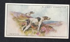 POINTERS Vintage 1925 Dog Painting Card  picture