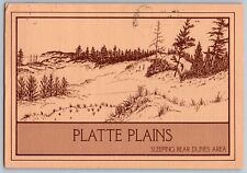 Michigan MI - Platte Plains - View of Empire Bluff - Vintage Postcard 4x6 picture