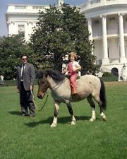 Caroline Kennedy sits on her pony Macaroni on White House lawn New 8x10 Photo picture
