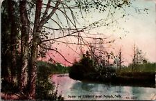 Neligh Nebraska~Trees on Riverbank of Elkhorn River~Pink Sky~1909 Postcard picture