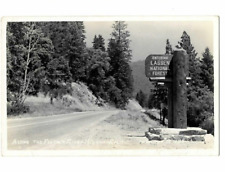 Along the Feather River Highway Calif CA California Lassen National Forest RPPC picture