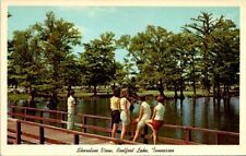 Postcard Shoreline View Pier Reelfoot Lake State Park Memphis Tennessee TN  7470 picture