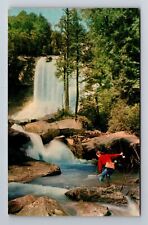 Sapphire Section NC-North Carolina, Trout Fishing Below Falls, Vintage Postcard picture