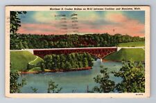 Cadillac MI-Michigan, Mortimer E Cooley Bridge, Antique c1949 Vintage Postcard picture