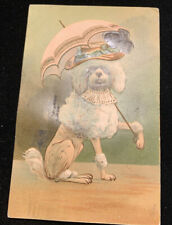 1908 Theil Dressed Animal Postcard Poodle With Hat And Parasol No. 108 picture