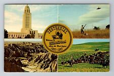 North Platte NE-Nebraska, Points of Interest, Antique Vintage Souvenir Postcard picture