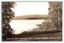 c1940's View Of Lake Medora Near Copper Harbor MI Vintage RPPC Photo Postcard picture