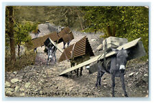 c1910s Burros Carrying Wood and Roof, An Arizona Freight Train Postcard picture