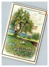 Vintage 1880's Victorian Trade Card Child in Meadow Biblical Quote Matthew 6:20 picture
