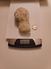 Piece from surroundings of The GREAT PYRAMID Of EGYPT Egyptian Rock 13 OZ picture