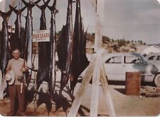 Vintage Acapulco Mexico Marlin Fishing Photograph Circa March 1950 Manta Raya picture