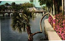 Vintage Postcard- Lucky Palm, Florida's Silver Springs. 1960s picture