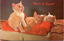 c1950's Three's A Crowd, Sleepy Kittens on a pillow, Vintage Chrome, nice card picture