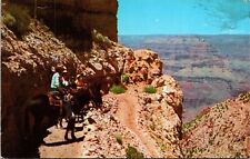 Kaibab Trail Grand Canyon National Park Arizona Scenic Chrome Cancel Postcard picture