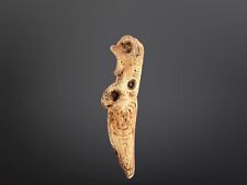 Pre Columbian TAINO Bovidae Bone Figural Pendant Artifact Provenance picture