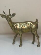 Polished Vintage Solid Brass Young Buck Hunting Deer : 7 Inches Tall Figurine picture
