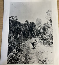 ANTIQUE WWII ORIGINAL PHOTOGRAPH OF SOLDIER'S IN ACTIVED DUTY DURING WWII picture