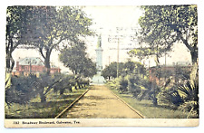 Galveston Texas Vintage Postcard 1912 Broadway Boulevard Hand Colored Print picture