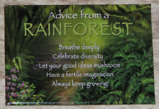 YOUR TRUE NATURE Advice from the Rainforest~