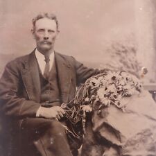 Unusual Antique Tintype Photo of Old Man Holding Dead Flowers picture