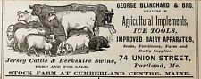 1883 AD(N18)~GEO. BLANCHARD SON CO. UNION ST. PORTLAND, ME. AGRICULTURAL TOOLS picture