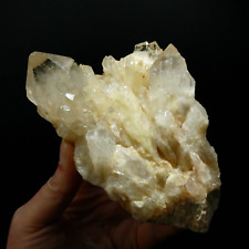 6in XL Natural Genuine Kundalini Citrine Crystal Cluster, Congo picture