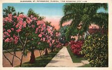 Postcard FL St Petersburg Florida Walk of Oleanders 1935 Linen Vintage PC f3077 picture
