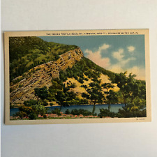 Vintage The Indian Rock Mt. Tammany Delaware Water Gap Linen Postcard Colortone picture