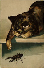 PC CATS, A CAT WITH A STAG BEETLE, Vintage EMBOSSED Postcard (b46715) picture