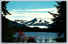 Juneau Alaska Postcard Mendenhall Glacier Fireweed Ice Far North Lake Mountain picture