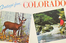Greetings From Colorado Vintage Postcard Used 1960s picture