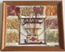 Navajo Vegetal Dye Chart - Melissa Myers signed (RARE) - 8 colors picture