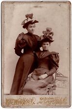 C. 1890s CABINET CARD BAUMGARDNER TWO LADIES IN FANCY DRESSES SPRINGFIELD OHIO picture