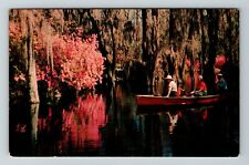 Charleston SC-South Carolina Cypress Gardens Scenic Boat View Vintage Postcard picture