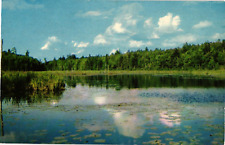 Postcard Northwoods View in Natural Color picture