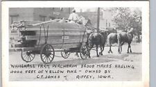 LUMBER WAGON HORSES c1910 rippey ia original antique postcard iowa history picture