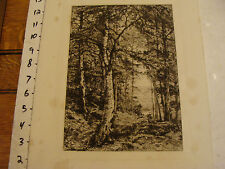 vintage Print:C. P. Slocombe--steel engraving of IN SUMMER WOODS picture