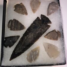 1x Native American Arrowhead  Points Set Of  9Glass Case Spearheaded Teacher Dis picture