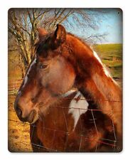 HORSE LOOKING OVER FENCE HEAVY DUTY USA MADE METAL HOME DECOR DECORATIVE SIGN picture
