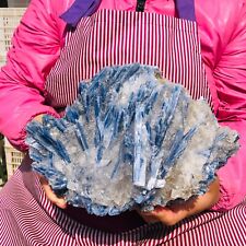 9.24LB Rare Natural Beautiful Blue Kyanite With Quartz Crystal Specim picture