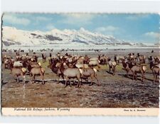 Postcard National Elk Refuge Jackson Wyoming USA picture