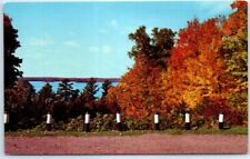 Postcard - Trout Lake Lookout, Wisconsin, USA picture