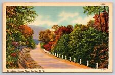 Vintage Postcard NY Berlin Greetings Tree Lined Dirt Road Linen ~12059 picture