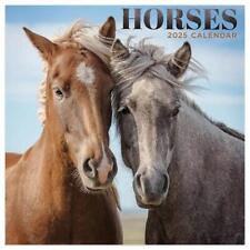 TF Publishing 2025 Horses Mini Calendar w picture