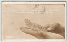 Postcard RPPC Horned Toad Found in the Southwestern Desert picture