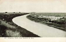 Irrigation Ditch Near Roswell New Mexico NM c1905 Postcard picture