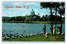 1972 View of Ducks, Swans, Geese, Spring Lake NJ Vintage Posted Postcard picture